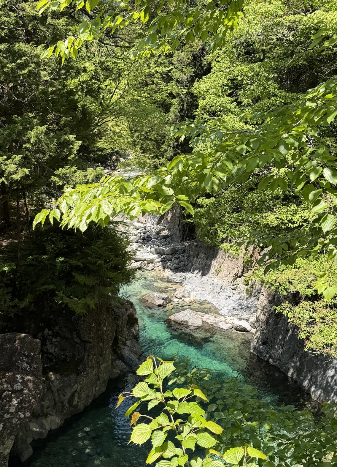 Cypress forest and emerald-green river on the Nakasendo