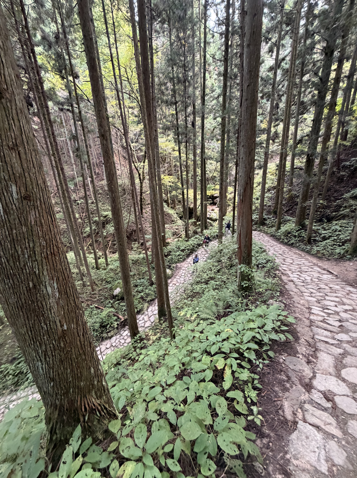 Traditional street view in Tsumago-juku
