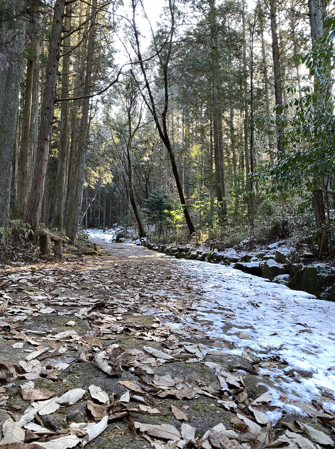 Forest path on the Nakasendo near Yabuhara