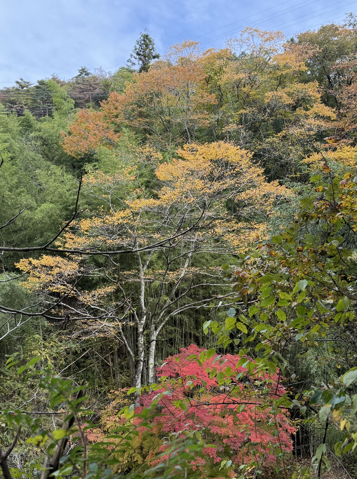 Mountain trail leading toward Torii Pass