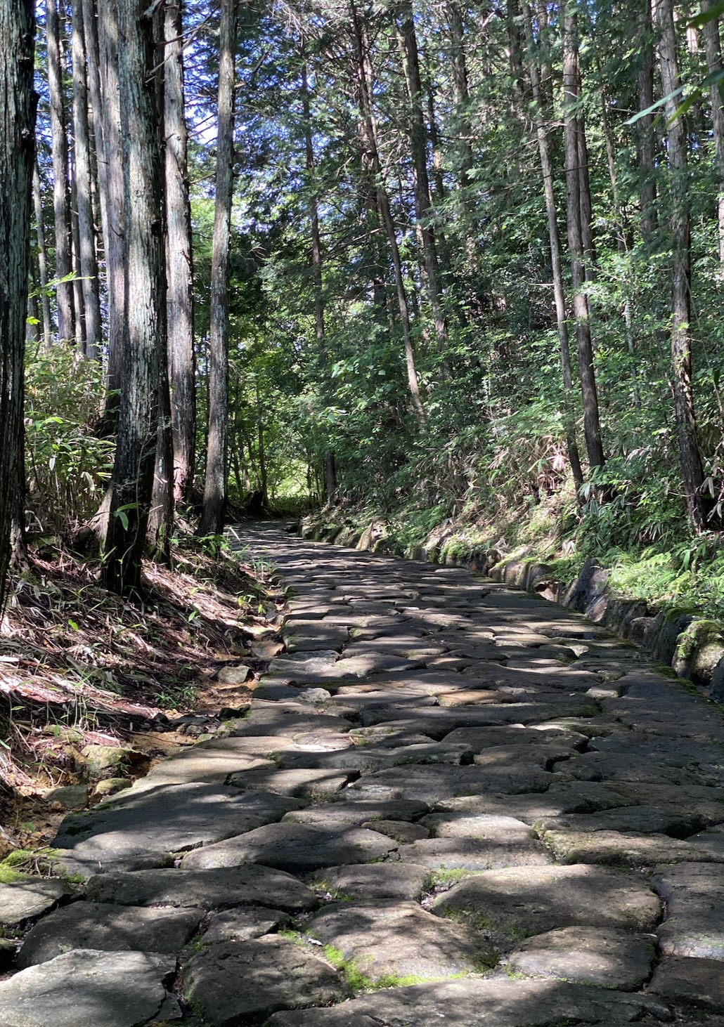 Yogawa Trail