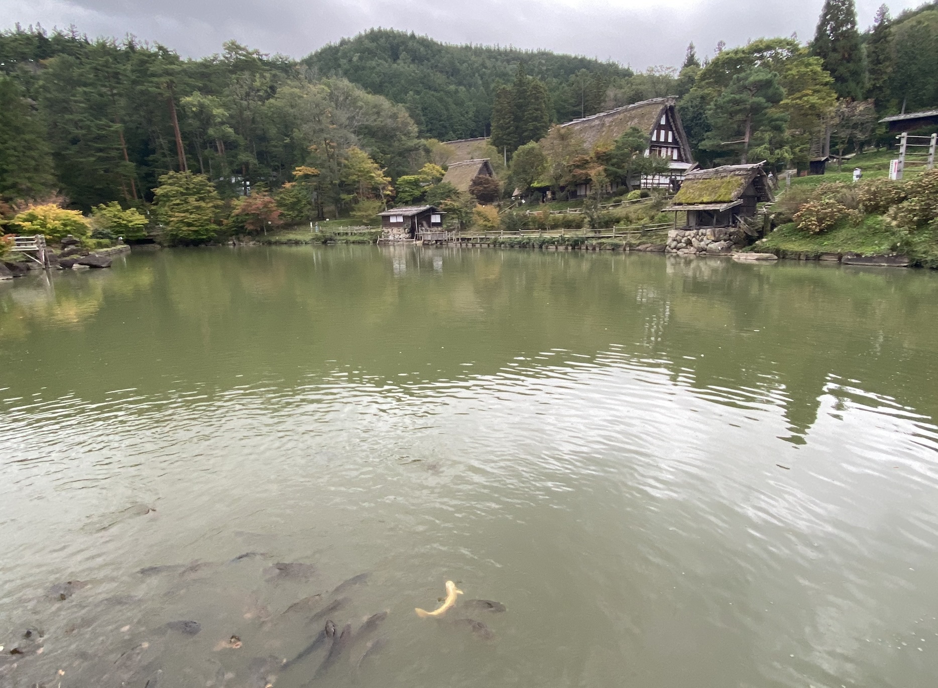Traditional culture and architecture in Takayama
