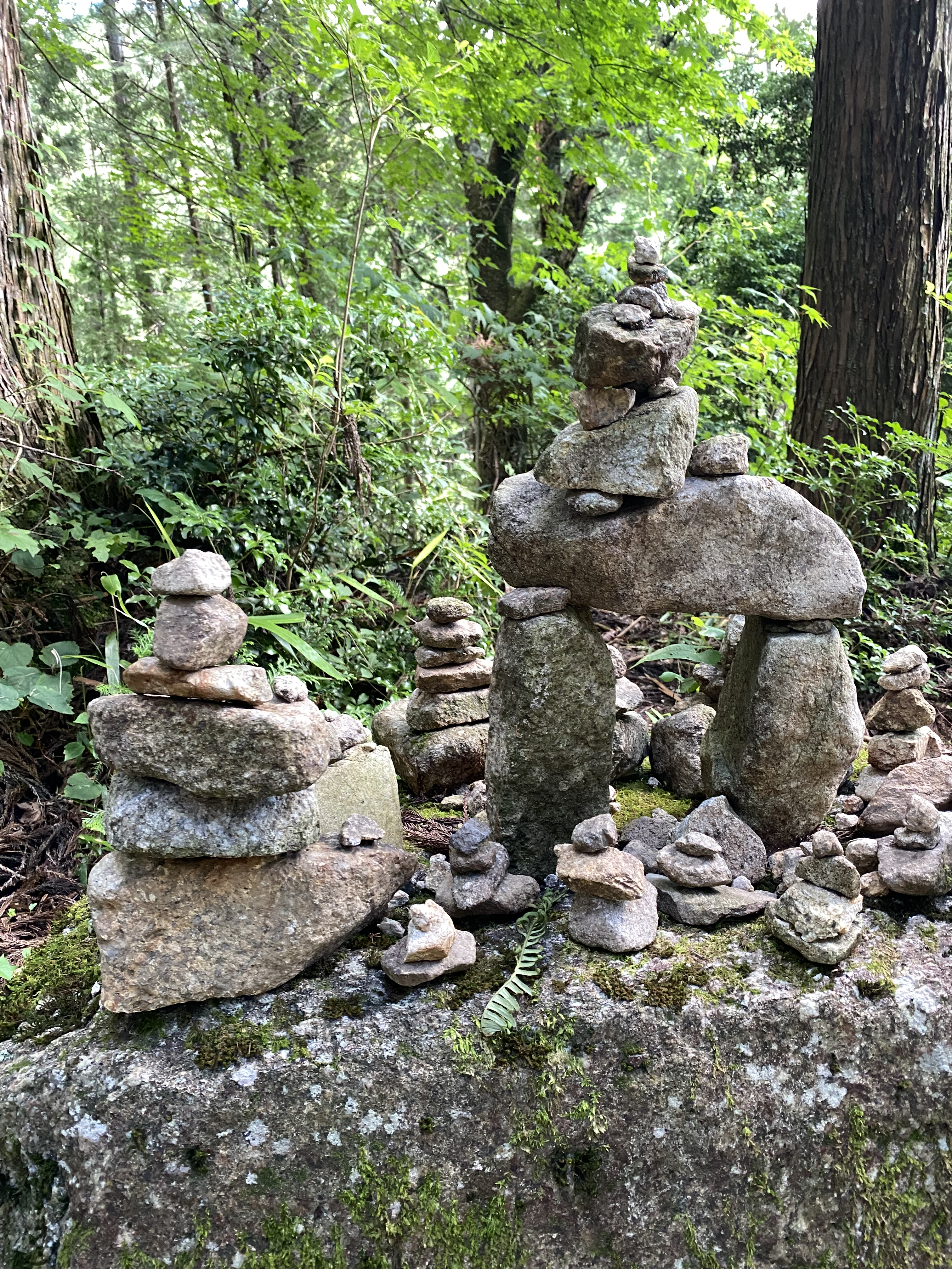 Torii Pass trail scene on the Nakasendo near Narai